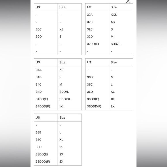 For Love and Lemons Shimmer Zinnia Embroidery Underwire Bra in Magenta - Picture 5 of 5